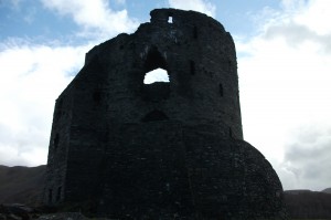 Dolbadarn Castle (4)