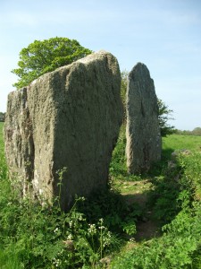 Bryngwyn Stones, Brynsiencyn
