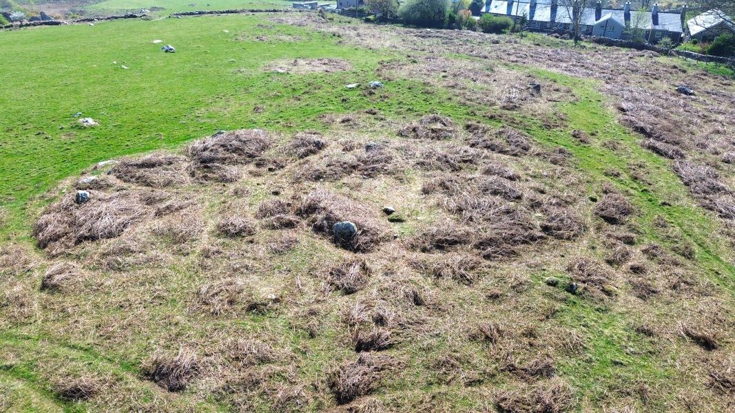 Taleifion hut circle